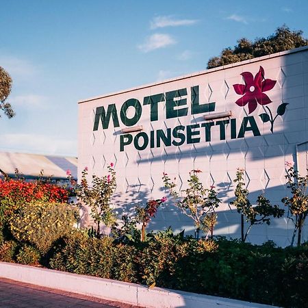 Motel Poinsettia Port Augusta Esterno foto